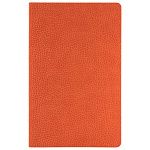 ЕЖЕДНЕВНИК НЕДАТИР. A5, PORTOBELLO SLIMBOOK DALLAS, БЕЗ ПЕЧАТИ, ОРАНЖЕВЫЙ /