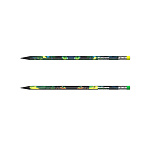 КАРАНДАШ Ч/Г ERICHKRAUSE GARDEN PET, HB, ПЛАСТ, ТРЕХГРАН. С ЛАСТИКОМ, АССОРТИ, ТУБУС /42/336/2688/