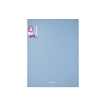 ПАПКА НА 2 КОЛЬЦА, ПЛАСТ. 24 ММ, ERICHKRAUSE MATT MANGA, 0,6 ММ, АССОРТИ /4/36/ РФ