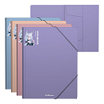 ПАПКА НА РЕЗИНКАХ ПЛАСТ, A4, ERICHKRAUSE MATT MANGA, 0,6 ММ, АССОРТИ /4/96/ РФ