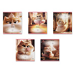 ТЕТРАДЬ 12 Л, ЛИН. ERICHKRAUSE ПРИМА-КОШКА, ВЫБ. УФ-ЛАК, ГЛИТТЕР, МИКС /10/280/