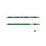 КАРАНДАШ Ч/Г ERICHKRAUSE GARDEN PET, HB, ПЛАСТ, ТРЕХГРАН. С ЛАСТИКОМ, АССОРТИ, ТУБУС /42/336/2688/