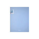 ПАПКА НА 4 КОЛЬЦА, ПЛАСТ. 24 ММ, ERICHKRAUSE MATT MANGA, 0,6 ММ, АССОРТИ /4/36/ РФ