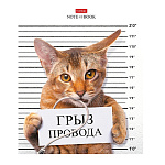 ТЕТРАДЬ 48 Л, А5, КЛ, ХАТБЕР, КОТ-ОБОРМОТ, НА СКОБЕ /10/100/