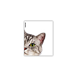 ОБЛОЖКА Д/ТЕТРАДЕЙ И ДНЕВНИКОВ ERICHKRAUSE HIDING CATS, 212*347ММ, 80МКМ, АССОРТИ, 12ШТ /72/