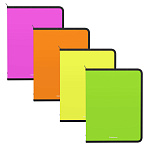 Папка для тетрадей на молнии пластиковая ErichKrause Matt Neon, A5+, ассорти (в пакете по 4 шт.)