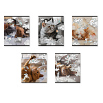 ТЕТРАДЬ 48 Л, А5+, КЛ. ERICHKRAUSE DREAM CAT, ПЛАСТ. ОБЛ. НА СКОБЕ, MIX-PACK /5/100/