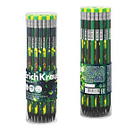 КАРАНДАШ Ч/Г ERICHKRAUSE GARDEN PET, HB, ПЛАСТ, ТРЕХГРАН. С ЛАСТИКОМ, АССОРТИ, ТУБУС /42/336/2688/