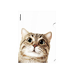 УГОЛОК А4. ПЛАСТ. ERICHKRAUSE HIDING CATS, 0,16 ММ, АССОРТИ /12/300/