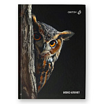 БЛОКНОТ-БИЗНЕС 64 Л, ЕВРОФОРМАТ, КЛ. ФРАНЦ. СВЕТОЧ. СОВА-МУДРАЯ ГОЛОВА, МАТ. ЛАМ. ВЫБ. ЛАК /4/24/