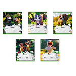 ТЕТРАДЬ 12 Л, КЛ. ERICHKRAUSE PIXEL ANIMALS, MIX-PACK /10/280/ 