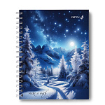 ТЕТРАДЬ 80 Л, А5, КЛ. СВЕТОЧ. ЗВЕЗДНАЯ НОЧЬ, ТВ. ОБЛ. МАТ ЛАМ, НА ГРЕБНЕ /4/32/