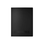 ПАПКА С ПРУЖИН. ЗАЖИМОМ ERICHKRAUSE MEGAPOLIS, 0,6 ММ, АССОРТИ /4/60/ РФ