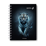 ЗАПИСНАЯ КНИЖКA 80 Л, А6, КЛ. СВЕТОЧ. СИЛА И СМЕЛОСТЬ, ТВ. ПЕРЕП. МАТ. ЛАМ. НА ГРЕБНЕ /4/48/