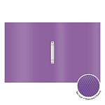 ПАПКА НА 2 КОЛЬЦА, ПЛАСТ. 24 ММ, ERICHKRAUSE GLANCE VIVID, 0,5 ММ, АССОРТИ /4/36/ РФ