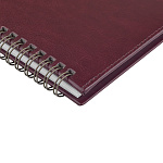 ПЛАНИНГ 2026 ГОД, SIDNEY NEBRASKA, БОРДОВЫЙ /20/