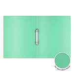 ПАПКА НА 2 КОЛЬЦА, ПЛАСТ. 24 ММ, ERICHKRAUSE ТЕКСТУРА ПЕСОК ЦВЕТУЩАЯ НЕЖНОСТЬ, 0,6 ММ, АССОРТИ /4/36