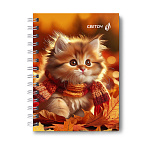 ЗАПИСНАЯ КНИЖКA 80 Л, А6, КЛ. СВЕТОЧ. ОСЕННИЕ МОДНИКИ, ТВ. ПЕРЕП. ГЛЯНЦ. ЛАМ. НА ГРЕБНЕ /4/48/