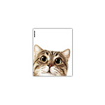 ОБЛОЖКА Д/ТЕТРАДЕЙ И ДНЕВНИКОВ ERICHKRAUSE HIDING CATS, 212*347ММ, 80МКМ, АССОРТИ, 12ШТ /72/