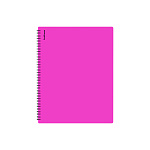 ПАПКА С ФАЙЛАМИ НА 20 КАРМАНОВ. ERICHKRAUSE SOFT CARIBBEAN, 0,6 ММ, АССОРТИ, НА СПИРАЛИ /3/84/ РФ