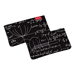 Пенал конверт ErichKrause Light 220x120мм Algebra