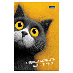 БЛОКНОТ 40 Л, А6, КЛ. ХАТБЕР. PREMIUM. ПУШИСТЫЙ ФИЛОСОФ, МЕЛ. ОБЛ. ГЛЯНЦ. ЛАМ. СКЛЕЙКА /6/120/