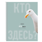 ТЕТРАДЬ 96 Л, А5, КЛ, ХАТБЕР. КТО ЗДЕСЬ? МАТ. ЛАМ. НА СПИРАЛИ /2/48/
