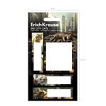 закладки 70*52 мм/20*70 мм/70*20 мм erichkrause big city cats, 80л, с/кл, бумага, ассорти /24/432/