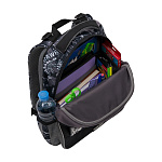 Ученический рюкзак ErichKrause ErgoLine® 15L Dinosaur Park