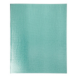 ТЕТРАДЬ 48 Л, А5, КЛ, ХАТБЕР, БУМВИНИЛ МЕТАЛЛИК МЯТА, НА СКОБЕ /5/60/