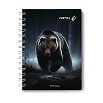 ЗАПИСНАЯ КНИЖКA 80 Л, А6, КЛ. СВЕТОЧ. СИЛА И СМЕЛОСТЬ, ТВ. ПЕРЕП. МАТ. ЛАМ. НА ГРЕБНЕ /4/48/